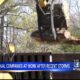 Tree removal companies putting in overtime around northeast Mississippi after Friday storms