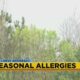 Wellness Wednesday: Seasonal Allergies