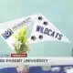Meridian Public School District hosts Parent University