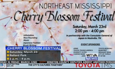 Cherry Blossom Festival set for Saturday in Tupelo