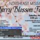 Cherry Blossom Festival set for Saturday in Tupelo