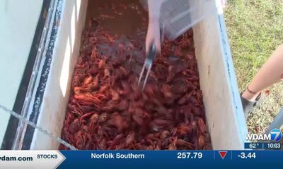 Record-high crawfish prices are dropping