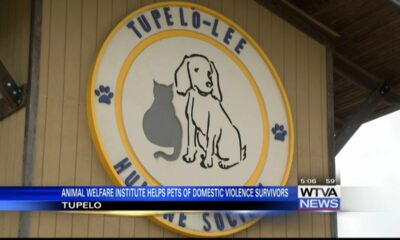 Animal welfare institute helps pets of domestic violence victims in Tupelo