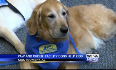 Alabama dogs provide comfort to kids and others testifying in court