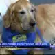 Alabama dogs provide comfort to kids and others testifying in court