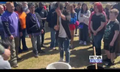 8th Cherry Blossom Festival held in Tupelo