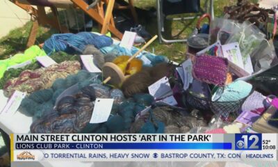 Main Street Clinton hosts Art in the Park