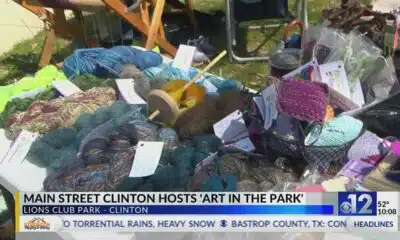 Main Street Clinton hosts Art in the Park