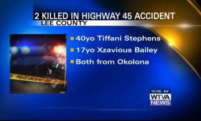 2 killed in crash along Highway 45 near Shannon