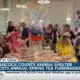 Hancock County Animal Shelter hosts annual "Spring Tea" fundraiser