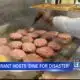 Dine For Disaster fundraiser to benefit American Red Cross