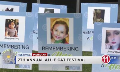 7th Annual Allie Cat Festival