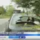 Tree falls on woman's car in Jackson