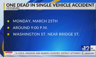 One killed in Vicksburg crash after hitting tree