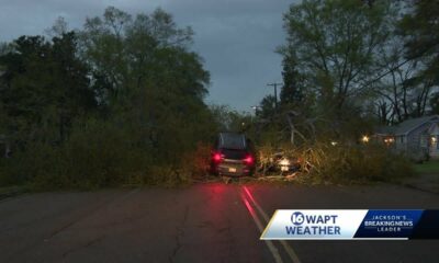 Metro storm damage assessed by NWS