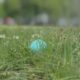 City of Meridian set to host two Easter Egg Hunts