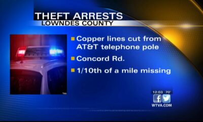 Couple arrested in Lowndes County for copper theft