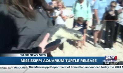 HAPPENING THURSDAY: Mississippi Aquarium releases rehabbed sea turtles