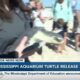 HAPPENING THURSDAY: Mississippi Aquarium releases rehabbed sea turtles