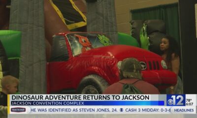 Dinosaur Adventure returns to Jackson