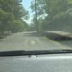 Lauderdale Co. Sheriff’s Office shares tips for motorists during National Distracted Driving Awar...