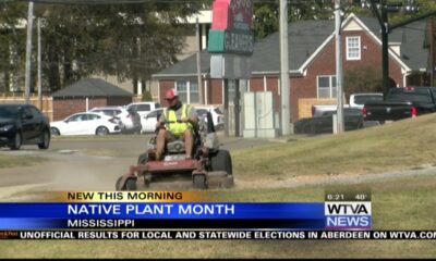 April is Native Plant Month in Mississippi