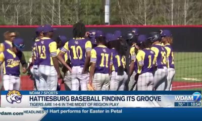 Hattiesburg baseball off to a hot start