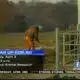 Mississippi State University is stepping up teach college students about farm safety