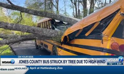 HFD, Forestry Commission team up to battle Hattiesburg brushfire