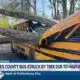 HFD, Forestry Commission team up to battle Hattiesburg brushfire