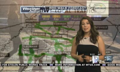 Dog Walk Forecast for April 4 - Bentley