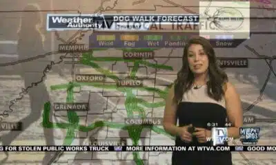Dog Walk Forecast for April 4 - Bentley