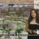 Dog Walk Forecast for April 4 - Bentley
