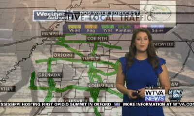 Dog Walk Forecast for April 5 - Rookie