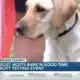 Mississippi Gulf Coast Kennel Club hosts Bark’N Good Time