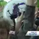 Kids watch the eclipse at St. Andrew's