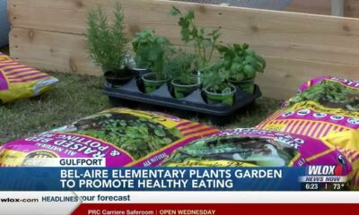 Bel-Aire Elementary School plants garden to promote healthy eating