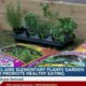 Bel-Aire Elementary School plants garden to promote healthy eating