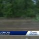 Tree falls on top of car