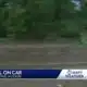 Tree falls on top of car