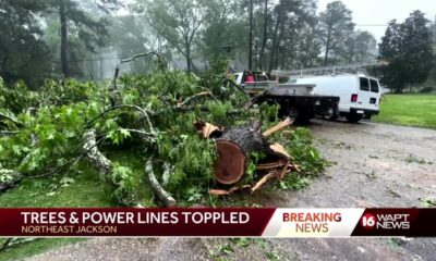 Jackson neighborhood comes together to clean up storm damage