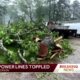 Jackson neighborhood comes together to clean up storm damage