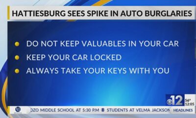 Hattiesburg police see spike in auto burglaries