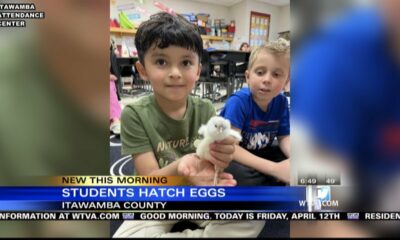 Itawamba County students hatch eggs, raise chickens