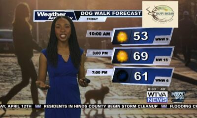 Dog Walk Forecast for April 12 - Cody