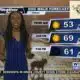 Dog Walk Forecast for April 12 - Cody