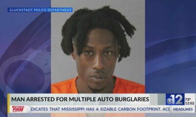 Gluckstadt police arrest man for multiple auto burglaries