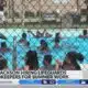 Jackson hiring lifeguards, zookeepers for summer