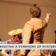 The “Orkidstra!” comes to downtown Meridian