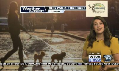 Dog Walk Forecast for April 16th - Shuka & Annie